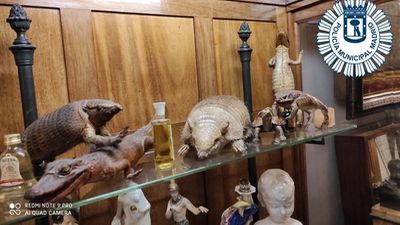 Intervienen 28 piezas de marfil y 4 armas históricas en dos tiendas de Madrid