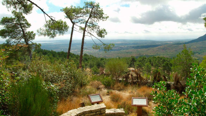 Las vistas desde el Arboreto Luis Ceballos / Archivo