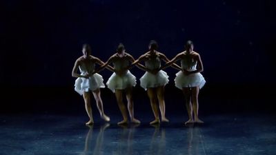 Chiens de Navarre, el Ballet Preljocaj, Niño de Elche e Yllana protagonizan la agenda del fin de semana