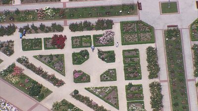 Madrid desde el aire: Madrid y sus parques