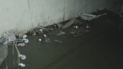 Okupas, mosquitos y aguas fecales: Así viven estos vecinos de San Sebastián de los Reyes