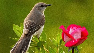 La batuta mágica 18.04.2021