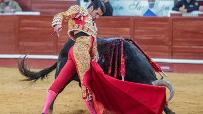 La Tauromaquia  quiere tener su Día Internacional