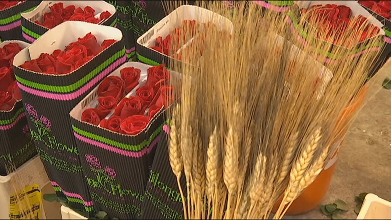 Cataluña celebrará San Jordi durante tres días para vender más libros y flores