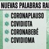 Covidiota, coronaplauso y otras palabras que ya están incluidas en el diccionario de la RAE