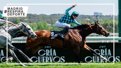 'Star of bengal' sorprende en el Gran Premio Duque de Alburquerque