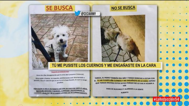 Se busca y no se busca / Redacción