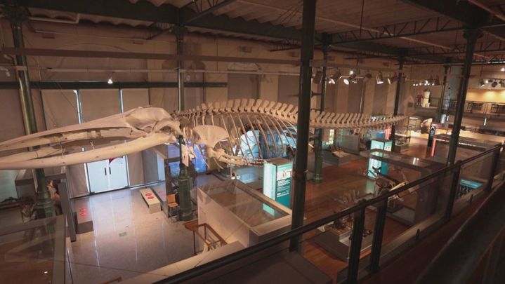 Museo Nacional de Ciencias Naturales / Redacción