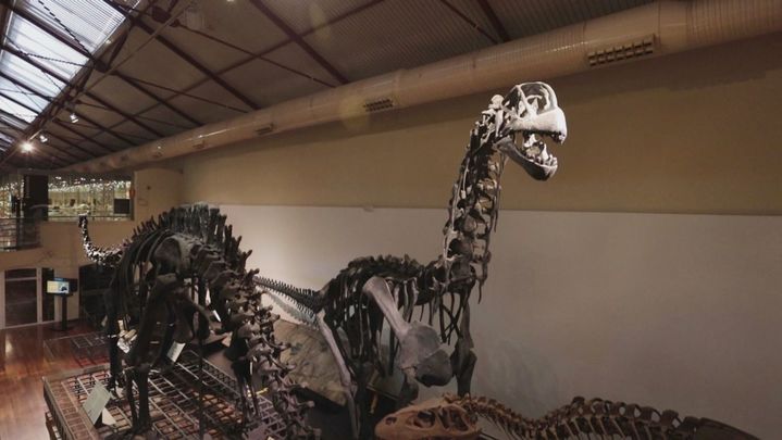 Esqueletos de dinosaurio en el Museo Nacional de Ciencias Naturales / Redacción