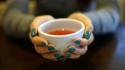 Kombucha, la bebida que está causando furor en redes sociales