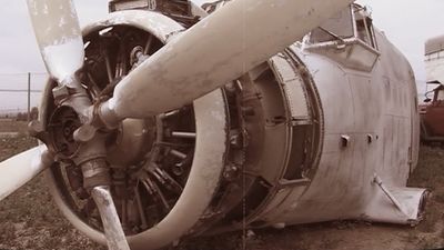 Los nuevos negocios que triunfan en Madrid