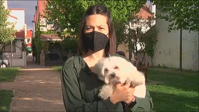 El Congreso inicia una triple reforma legal para ‘descosificar’ a los animales