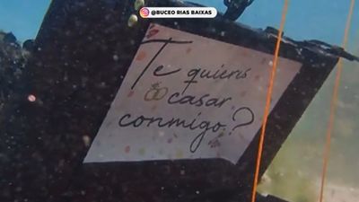 Una pedida de mano bajo el agua