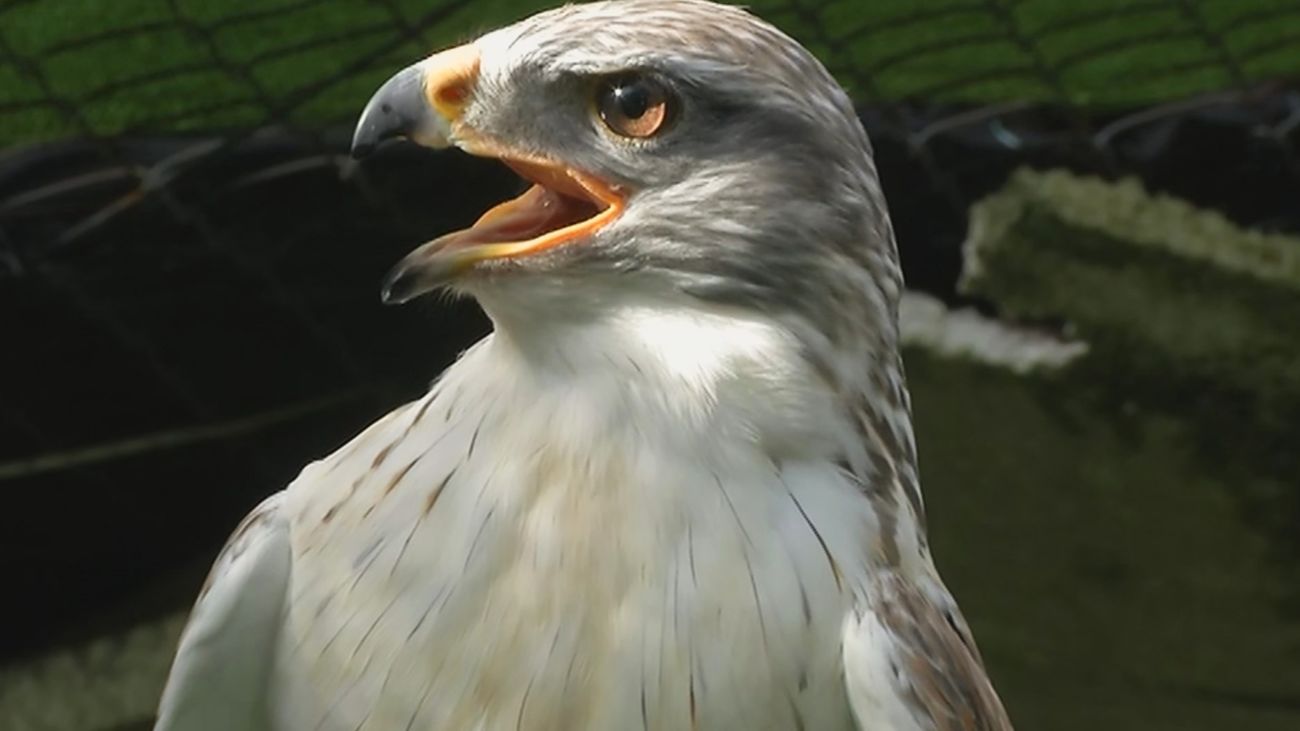 Está Pasando 20.04.2021