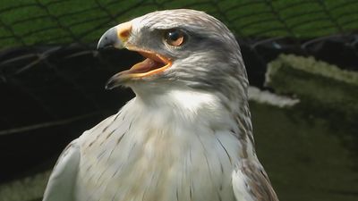 Está Pasando 20.04.2021