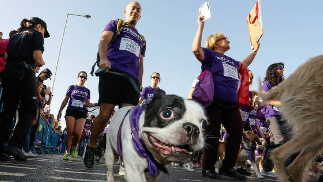 Perrotón Madrid vuelve el 10 de  octubre con más de 5.000 participantes