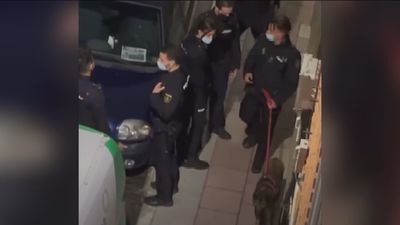 Policía Nacional detiene en Torrejón de Ardoz por maltrato animal al dueño de una perra