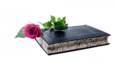 Montalbán, Chelsea Clinton, Marta Sanz.... ¿Qué libros leen los candidatos a las #EleccionesMadrid?