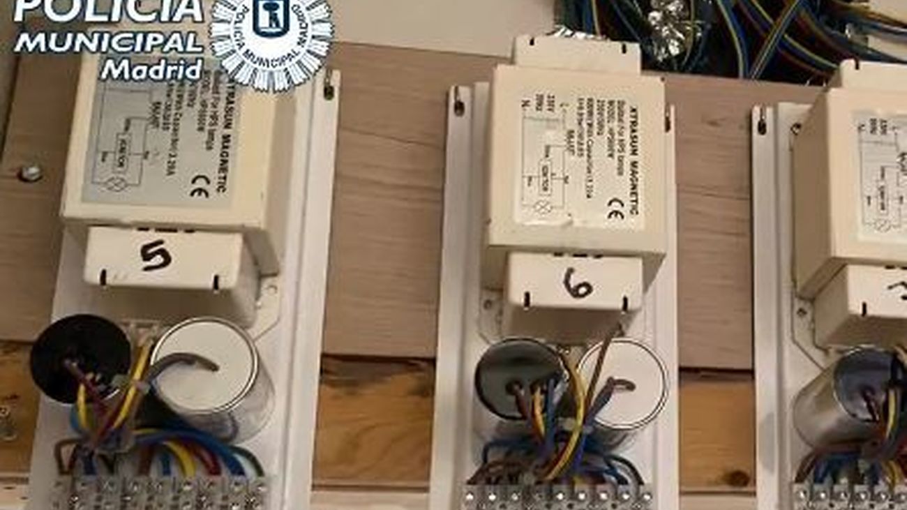 Tres detenidos con 479 plantas de marihuana en tres pisos de Villaverde