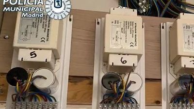 Tres detenidos con 479 plantas de marihuana en tres pisos de Villaverde