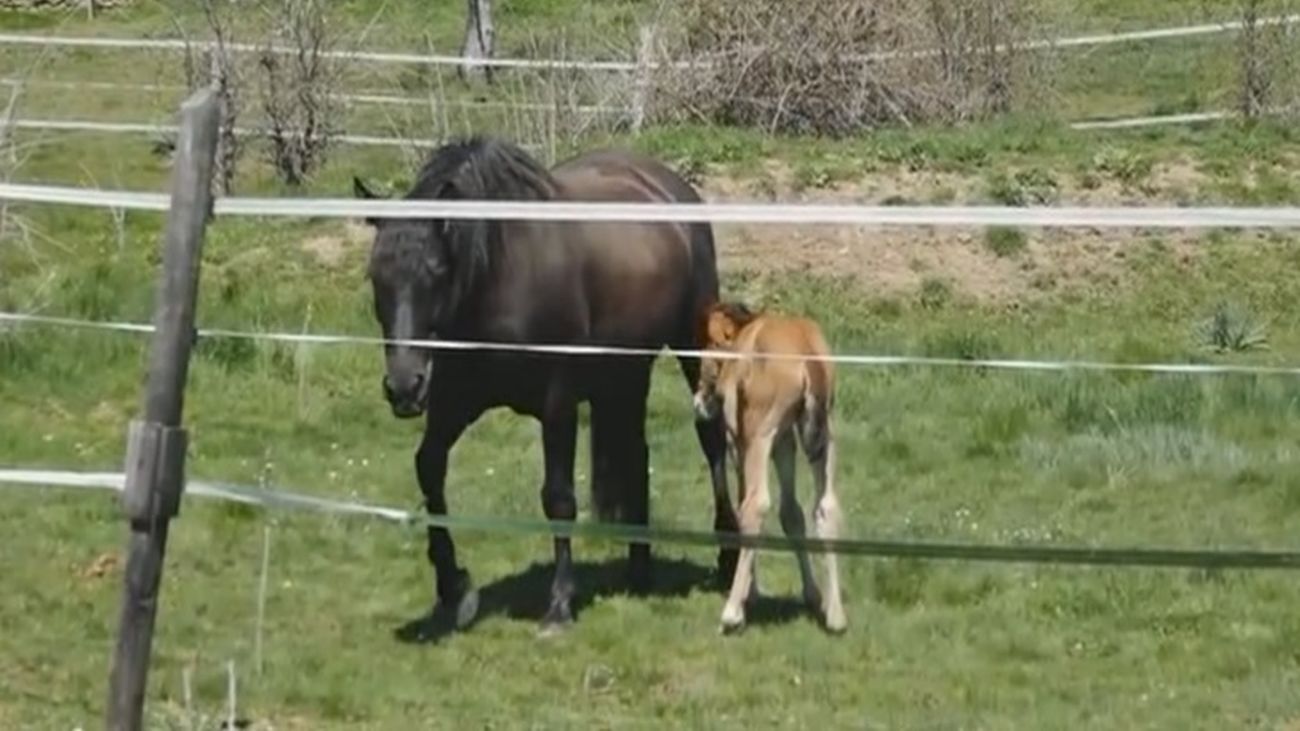 Pinilla de Buitrago, un pueblo de cuento a media hora de Madrid
