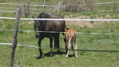 Pinilla de Buitrago, un pueblo de cuento a media hora de Madrid