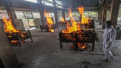 ¿Ha llegado la variante india a España?