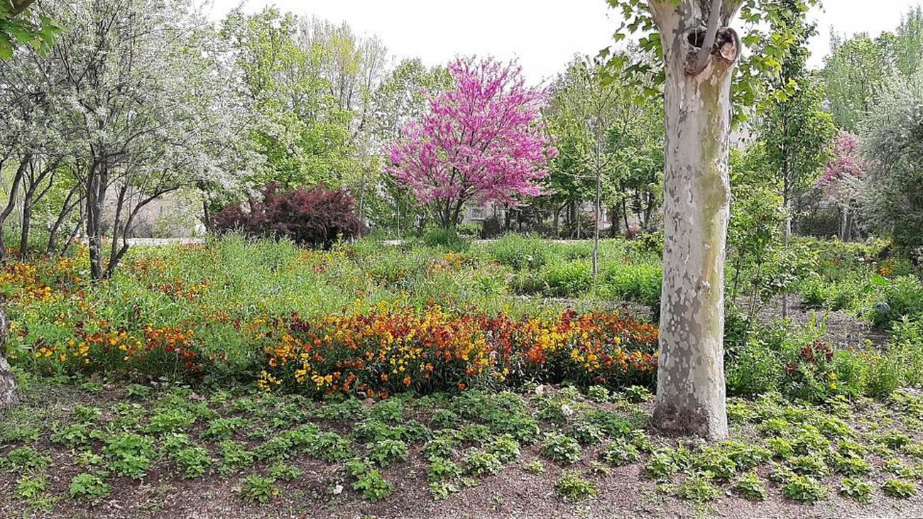 Los Jardines de la Quinta de Vista Alegre reabren al público este sábado