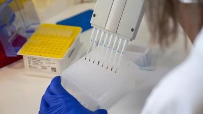 Madrid detecta dos casos de cepa india del coronavirus