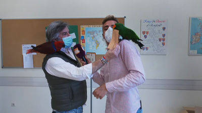 Un vecino de Las Rozas acude a votar con sus loros