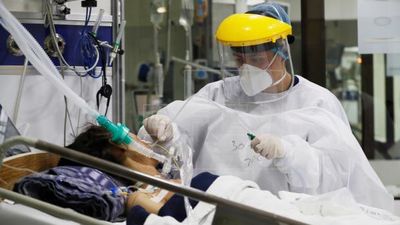 Descubren que la pérdida de olor en pacientes covid se debe a una inflamación