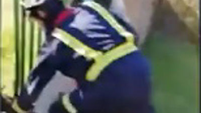 Rescatan con éxito un corzo atrapado en un vallado en Colmenar Viejo