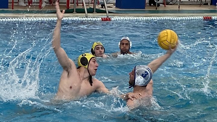 Waterpolo Brains / @BrainsWaterpolo