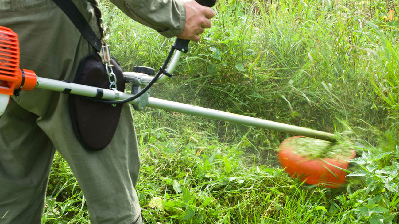 Alcobendas desbroza 30 hectáreas para prevenir incendios forestales