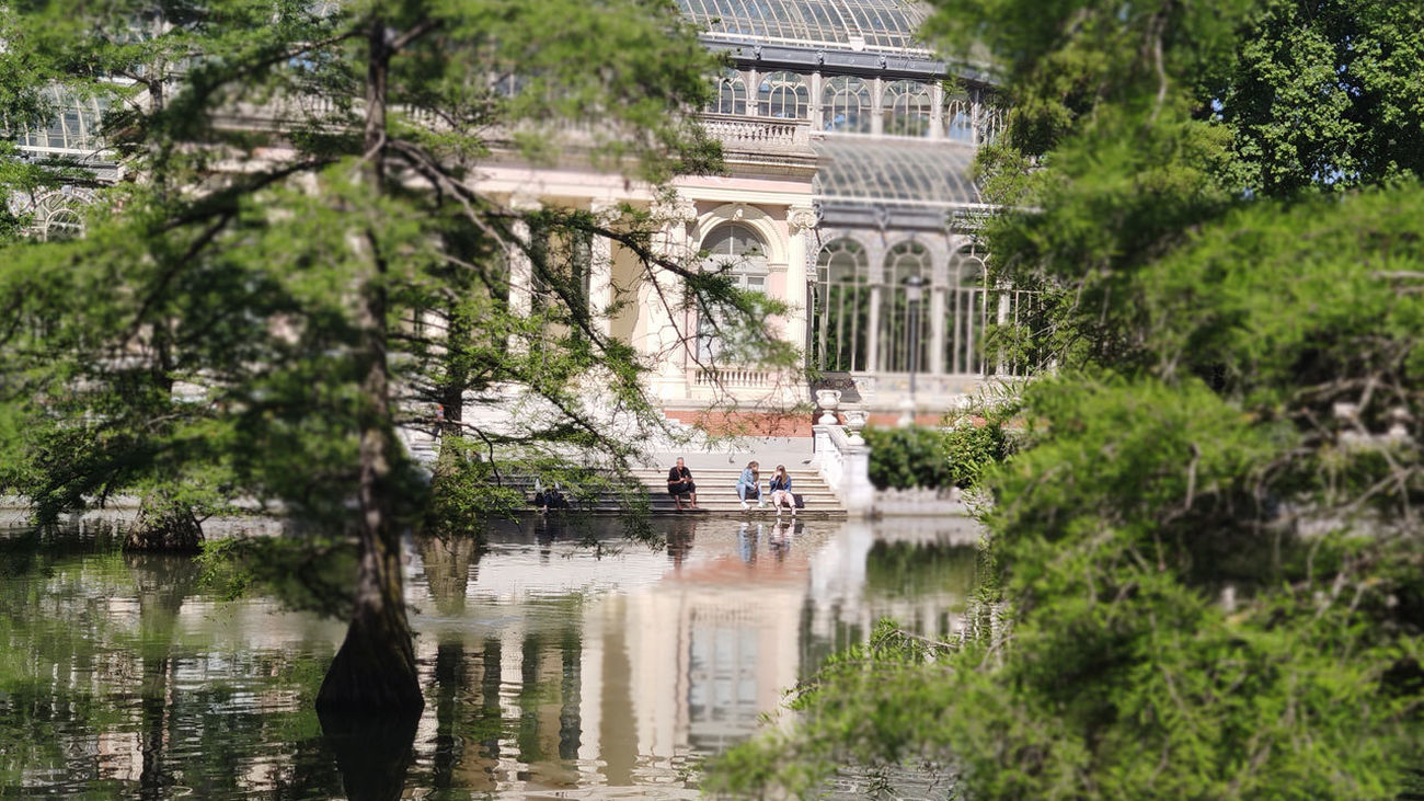 Arbolado frente al Palacio de Cristal, en El Retiro