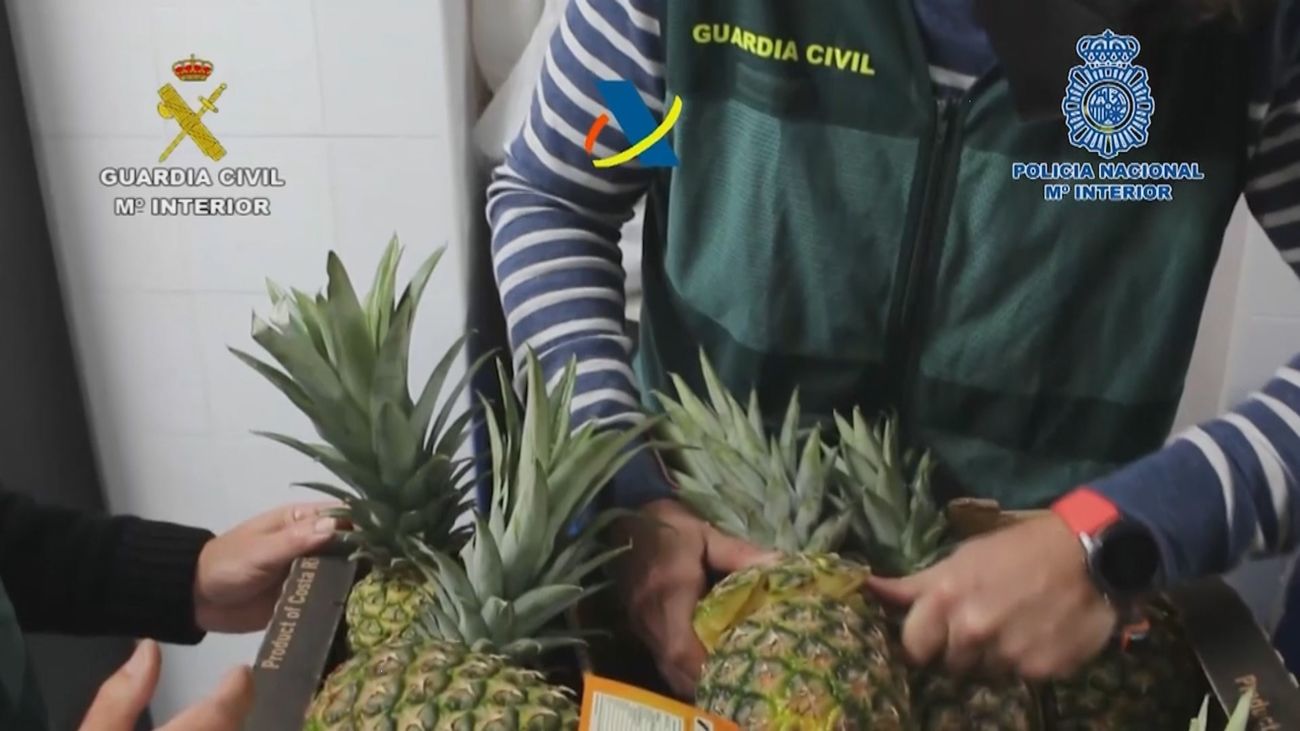 Cae una organización que introducía en España cocaína oculta en piñas