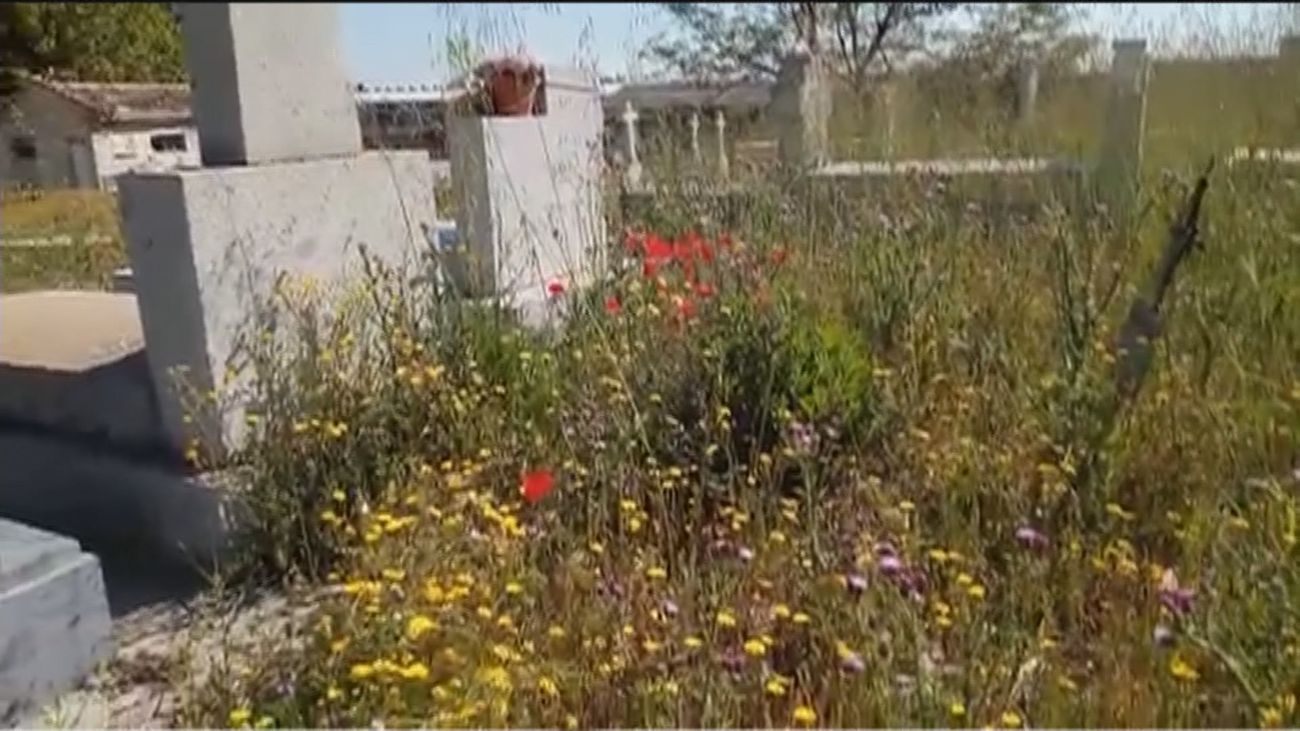 Una jungla de hierbajos cubre las deterioradas tumbas del cementerio de Villaverde Alto