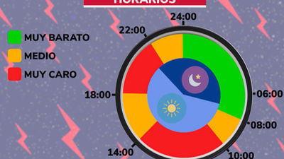 "Si no hacemos lo que debemos el recibo de la luz puede ser el triple", advierten los expertos
