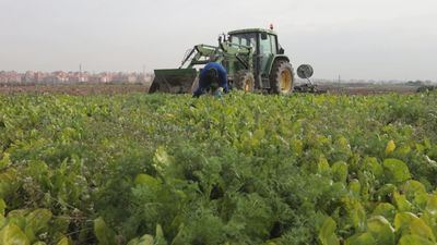 Madrid desde el aire: Madrid también es campo