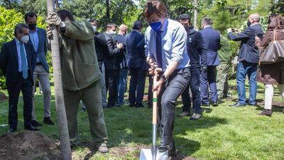 Los madrileños ya pueden plantar o donar árboles con el proyecto Replanta Madrid