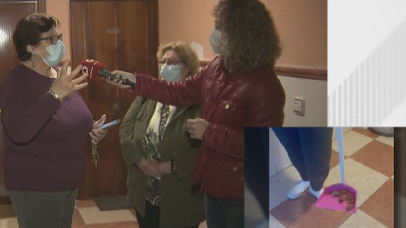 Plaga de cucarachas resistentes a las fumigaciones en un portal de vecinos de Parla