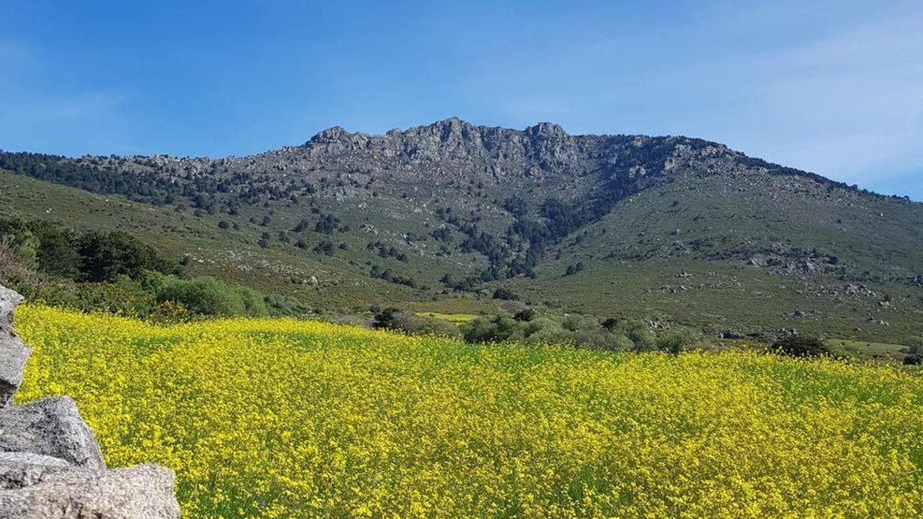 Los Molinos considera que una nueva pista forestal en La Peñota tendría "una afección apreciable"
