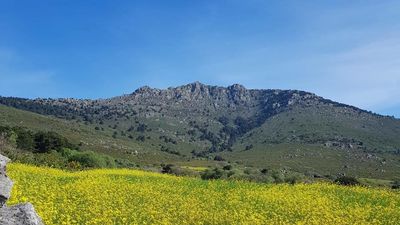 Los Molinos considera que una nueva pista forestal en La Peñota tendría "una afección apreciable"