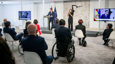 La Constitución cambia el término "disminuido" por "persona con discapacidad"