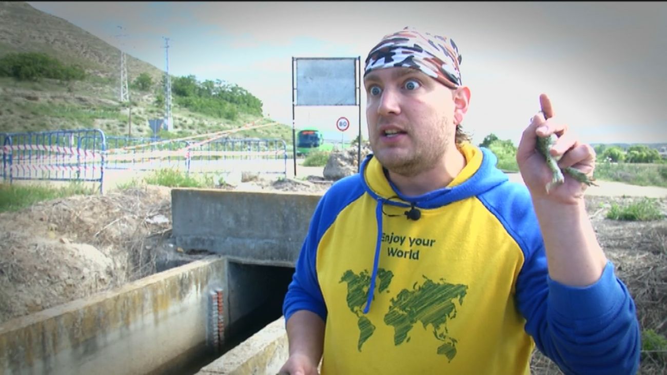 ¿A qué sabe un sapo? El momento en el que el ‘Frank de la Jungla’ madrileño lo ha chupado