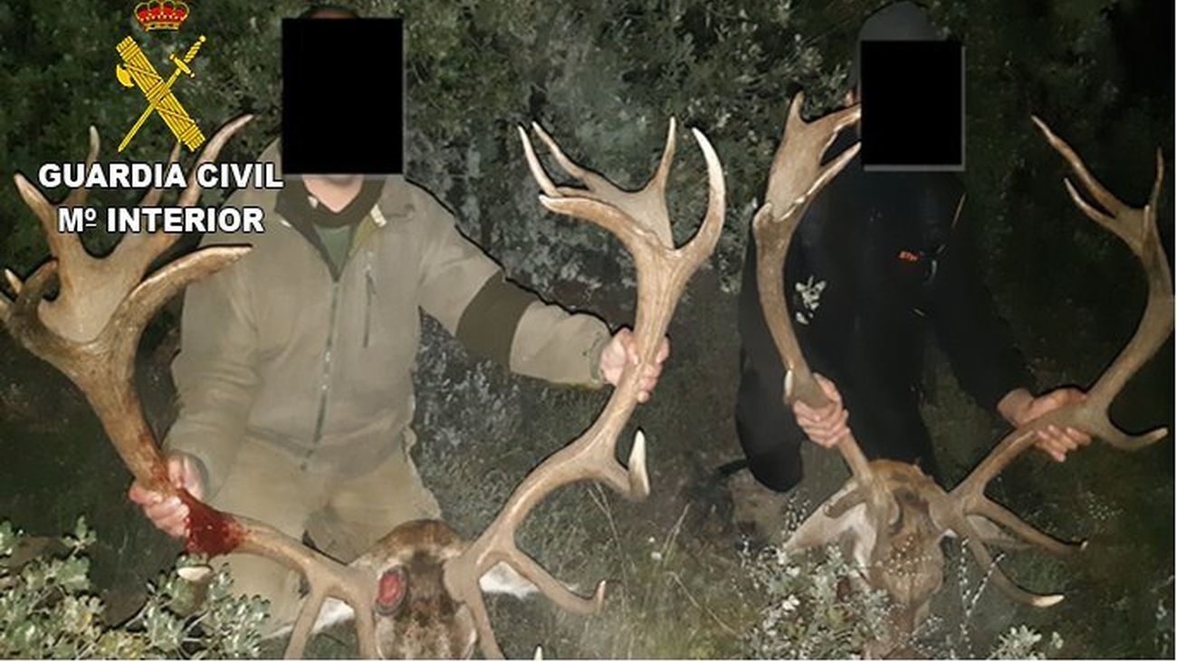 Investigan a un grupo criminal que organizaba cacerías en zonas protegidas