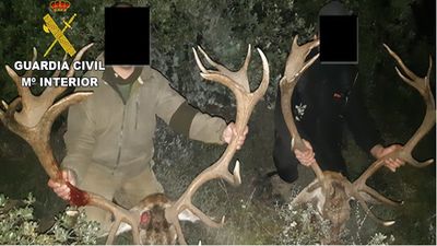 Investigan a un grupo criminal que organizaba cacerías en zonas protegidas