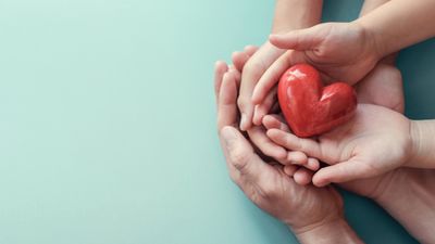 La Comunidad de Madrid ensalza la importancia de las familias como "pilar básico de la sociedad"