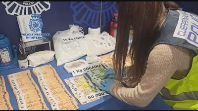 60 detenidos en una operación contra el blanqueo del narcotráfico en Mallorca