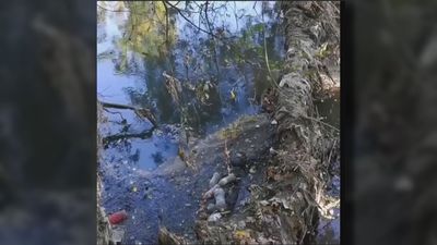 La Fiscalía traslada al juzgado la denuncia por vertidos de aguas fecales al arroyo de Valdebebas